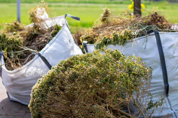 Best Electronics Removal Services  in Brooklyn, IA