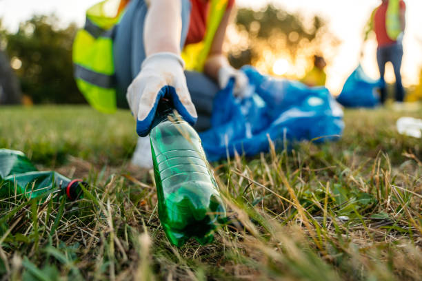 Best Yard Waste Removal  in Brooklyn, IA